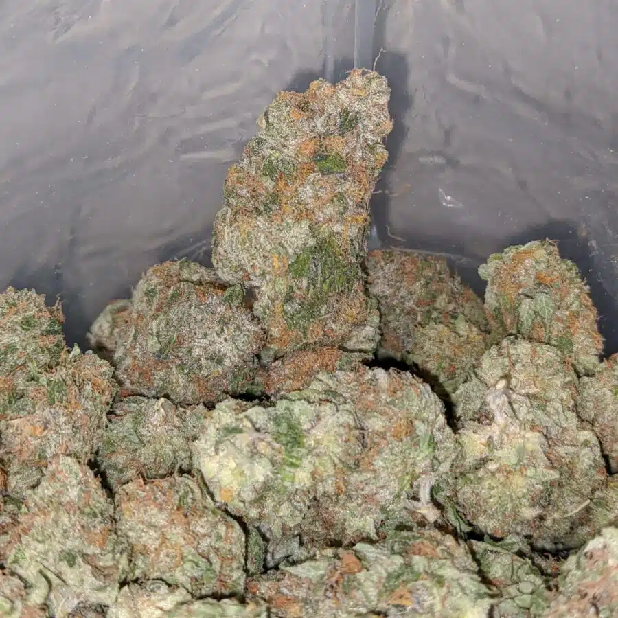 Hawaiian Mayan Gold