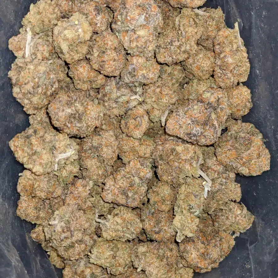 WhatsApp Image 2024 02 16 at 1.42.06 PM I $ 50 - Grape Runtz