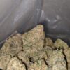Sour Diesel