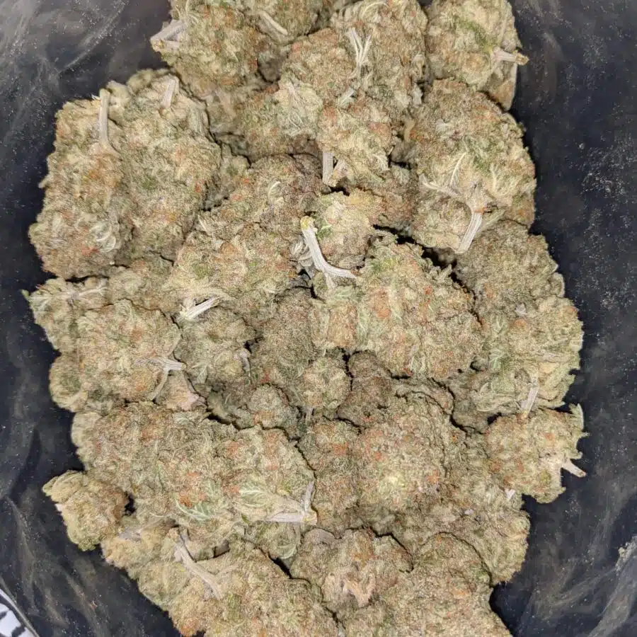 Alternative view of Girl Scout Cookies