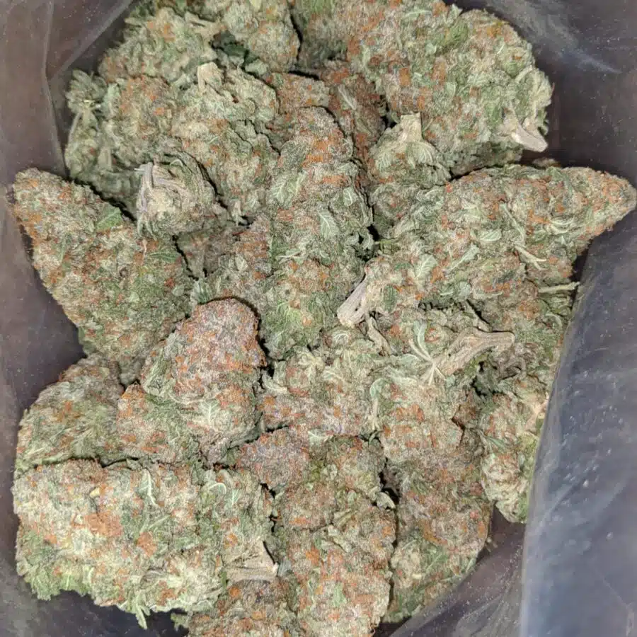 alien cookies 1 1 I Alien Cookies #2