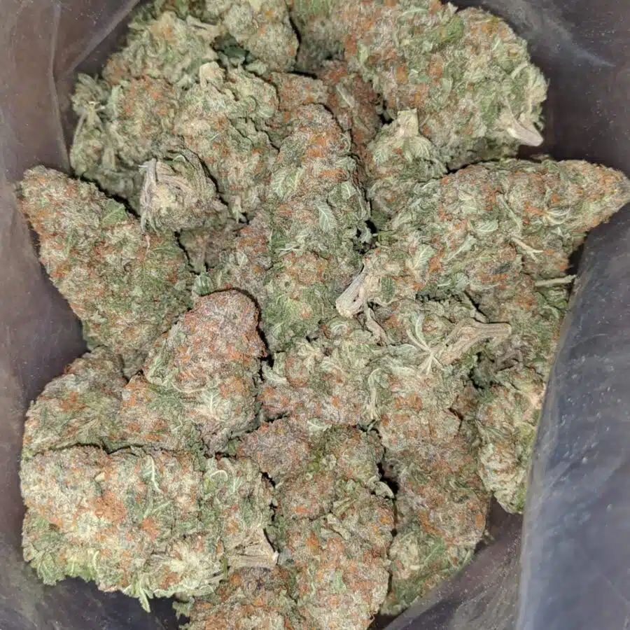 alien cookies 2 2 I Alien Cookies #2