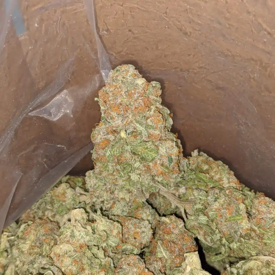 alien cookies 4 2 I Alien Cookies #2