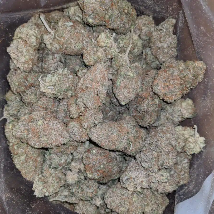 biscotti gelato 2 I Biscotti Gelato