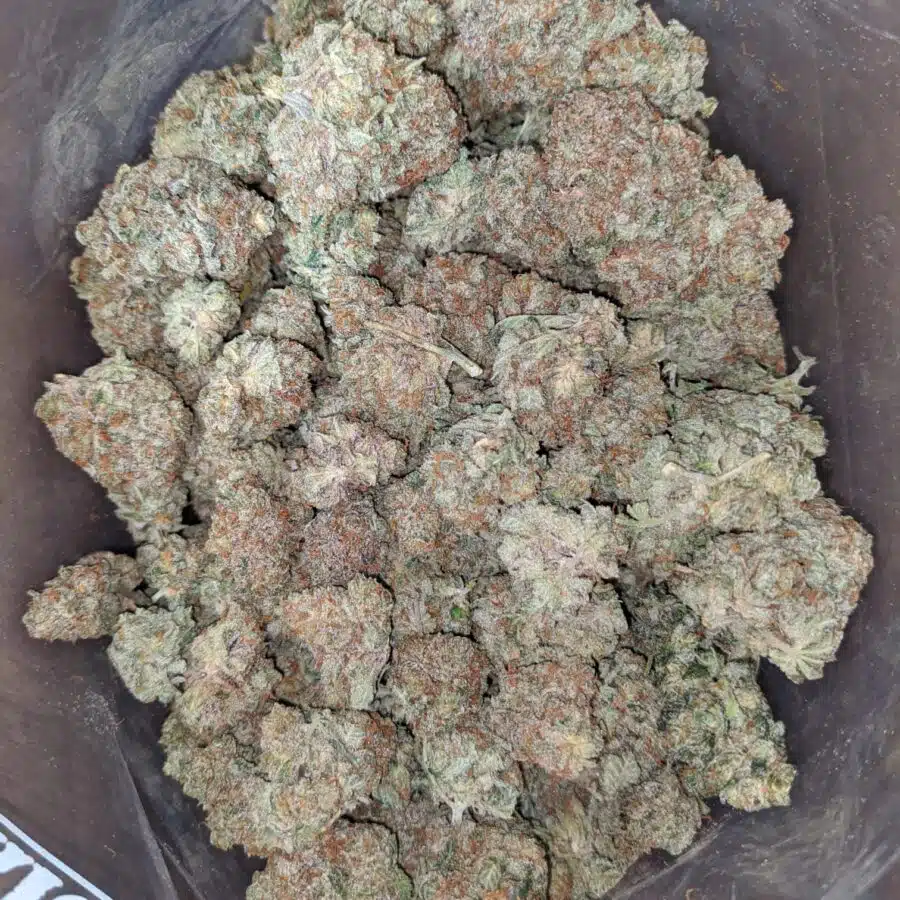 black cherry soda 1 I Black Cherry Soda