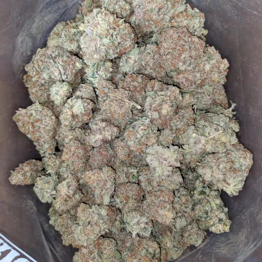black cherry soda 2 I Black Cherry Soda