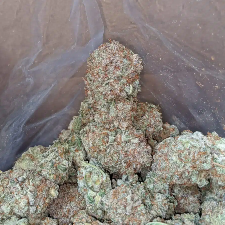 black cherry soda 3 I Black Cherry Soda