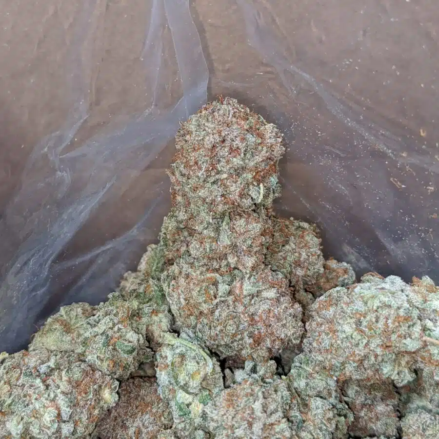 black cherry soda 4 I Black Cherry Soda