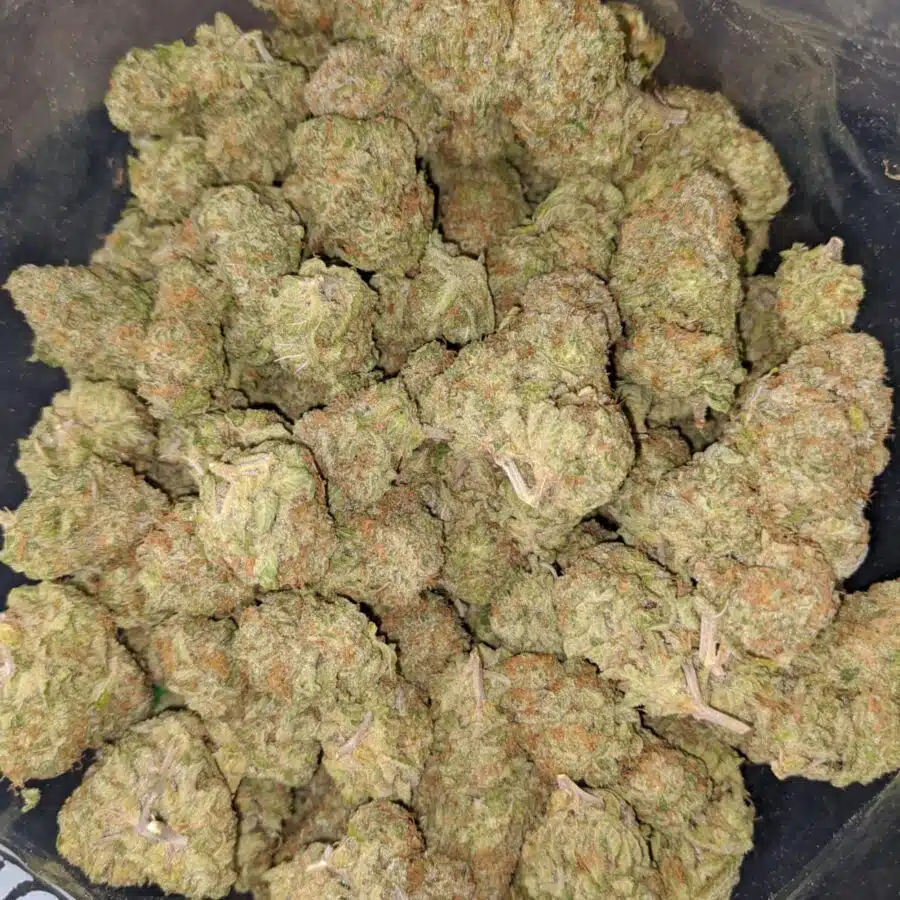 brainstorm haze 1 I Brainstorm Haze