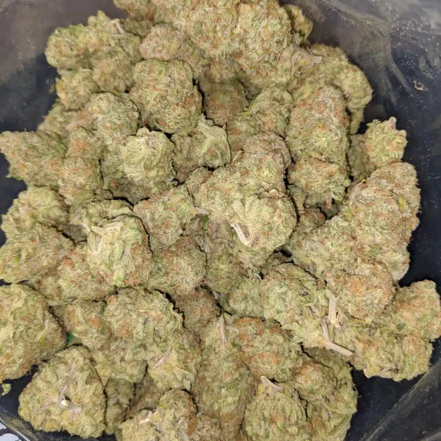 brainstorm haze 2 I Brainstorm Haze