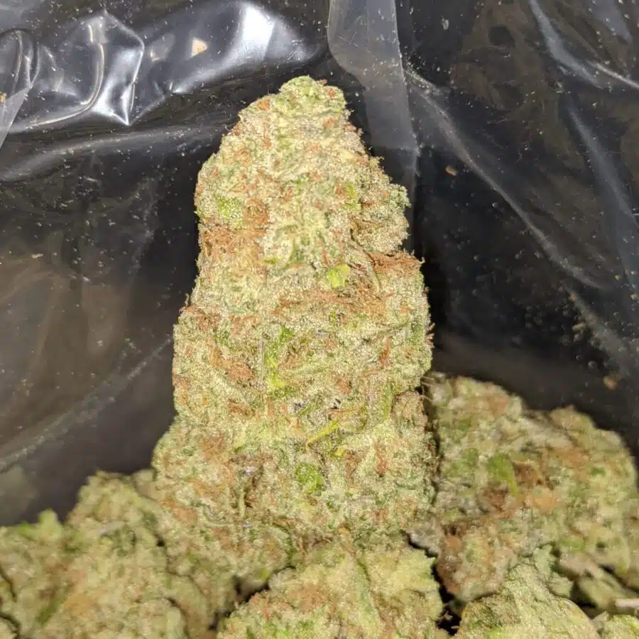 brainstorm haze 3 I Brainstorm Haze