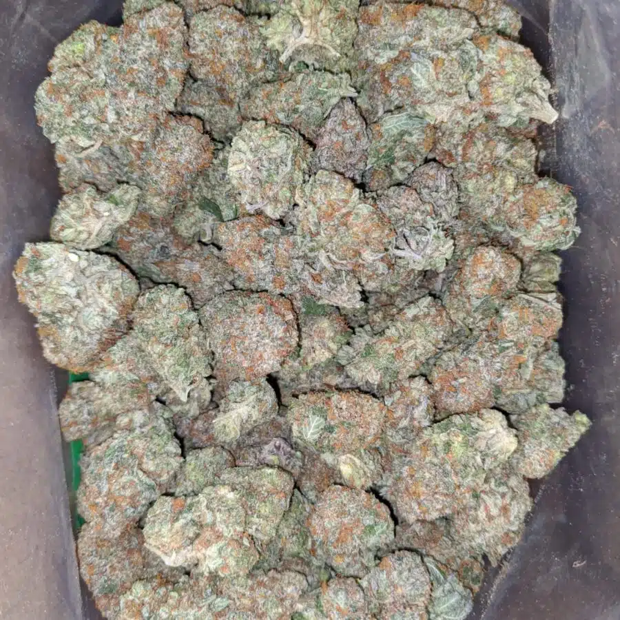 caramel cookies 1 I $ 60 Oz - Caramel Cookies