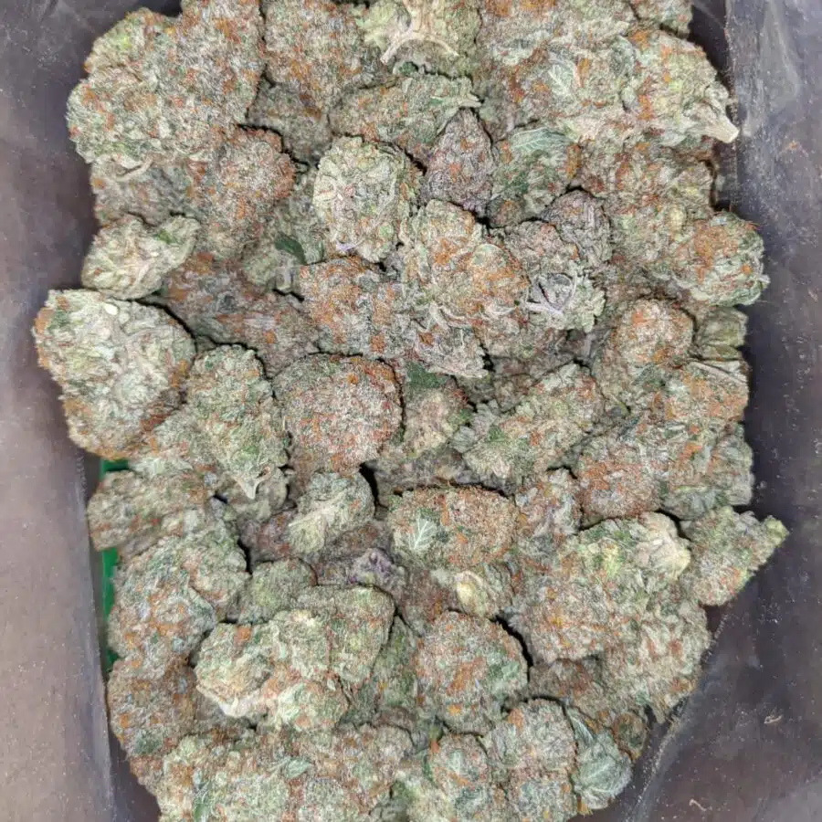 caramel cookies 2 I $ 60 Oz - Caramel Cookies