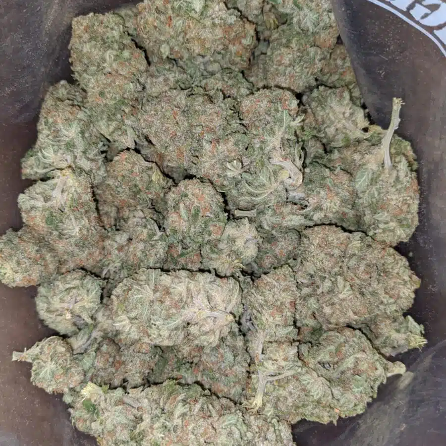 champagne 1 I $ 56 Oz - Champagne