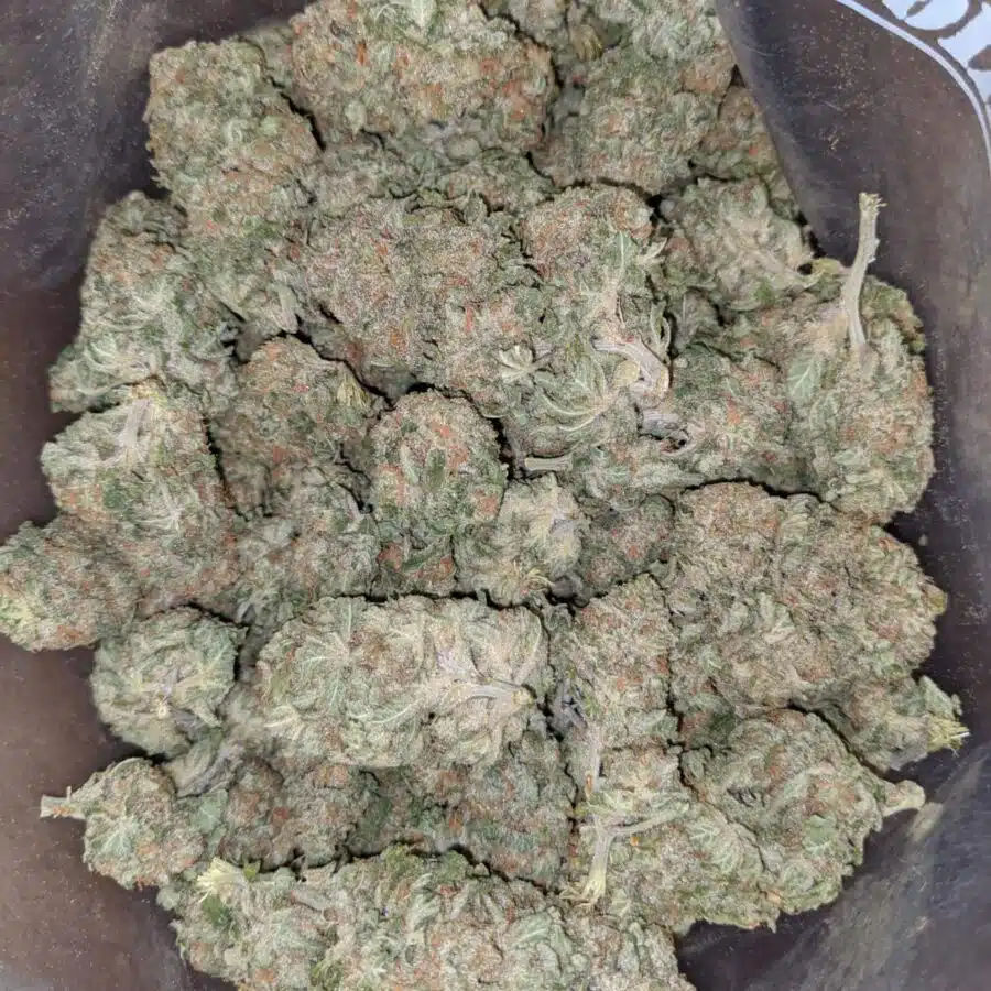champagne 2 I $ 56 Oz - Champagne