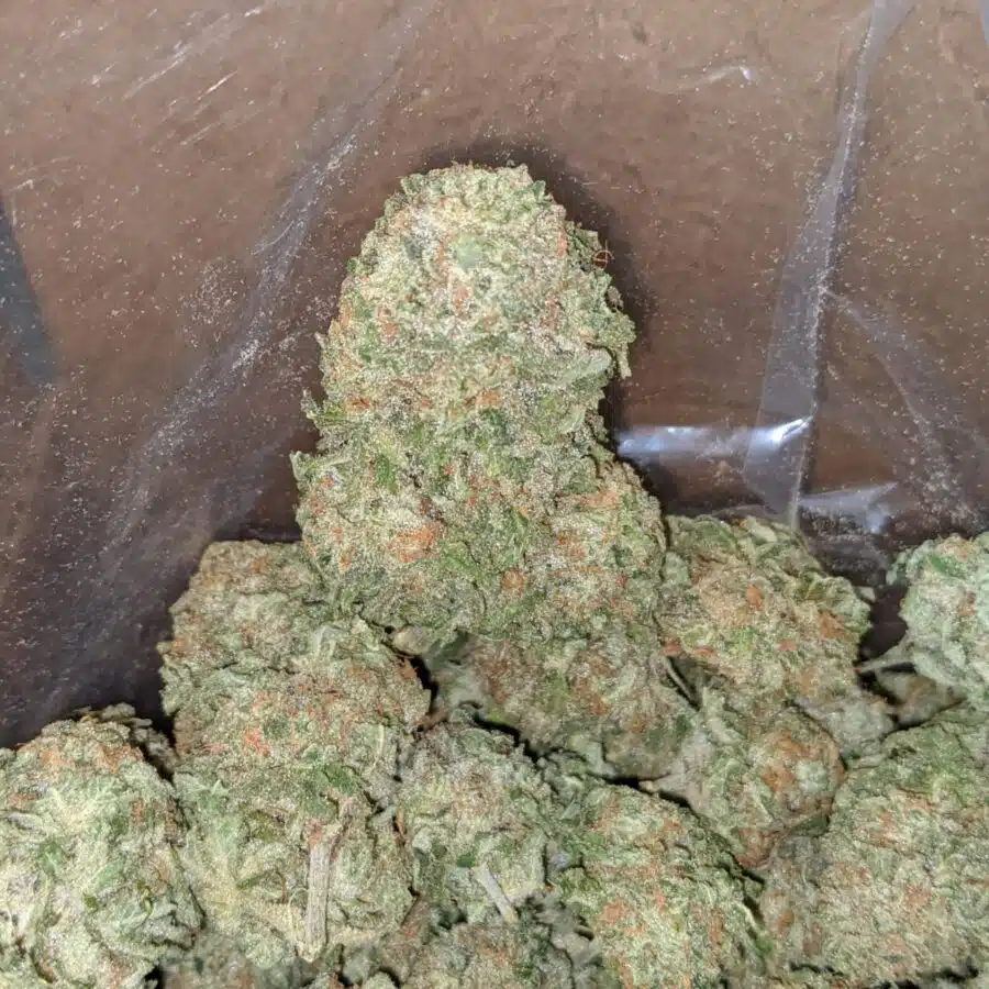 champagne 3 I $ 56 Oz - Champagne