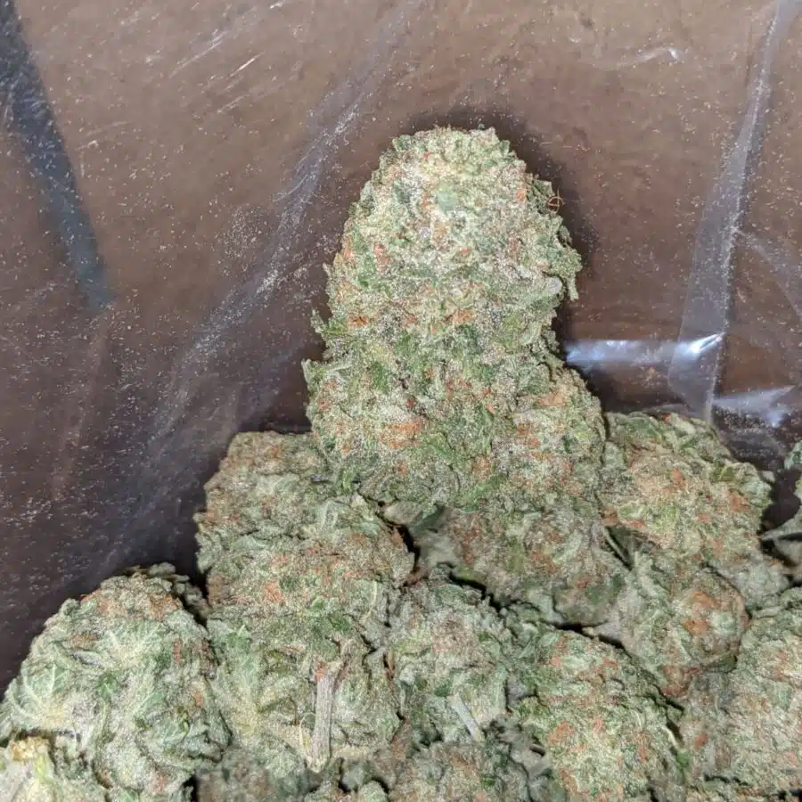 champagne 4 I $ 56 Oz - Champagne