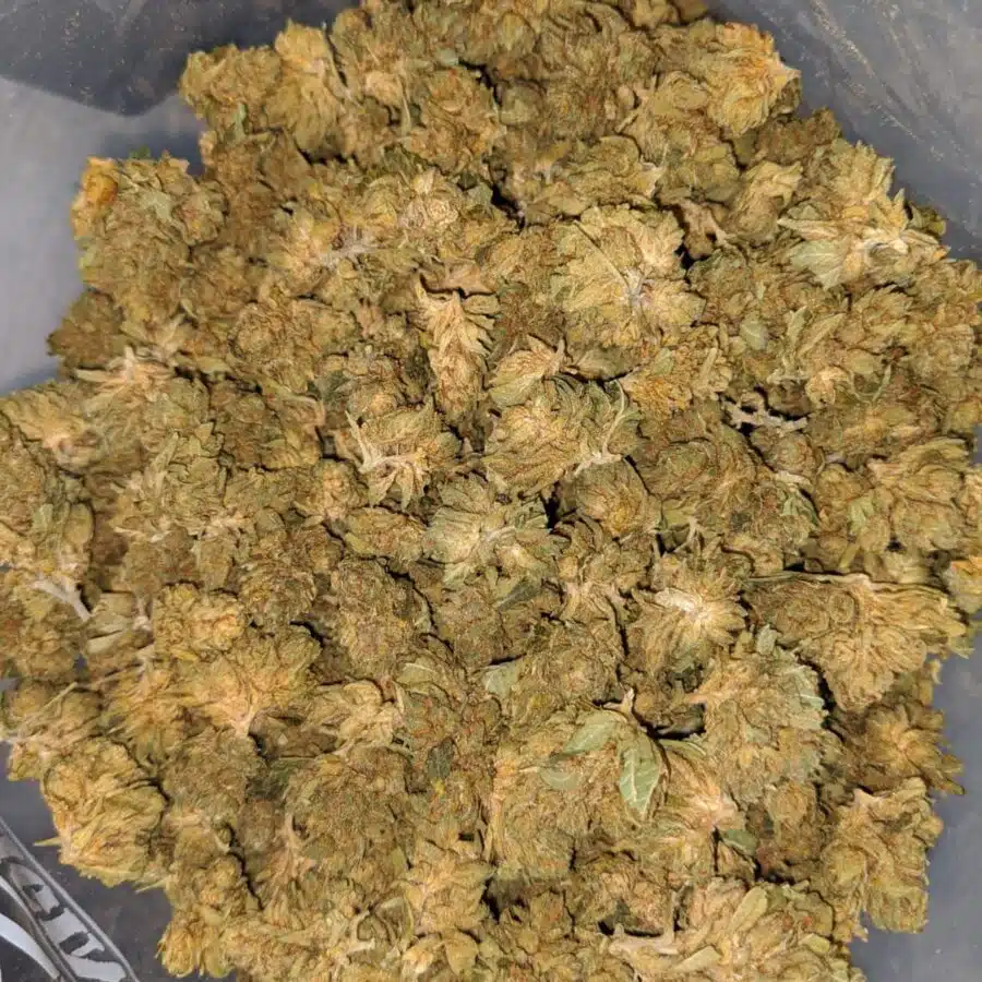 cheap chemo bulk special 2 I $ 33 Oz - Chemo