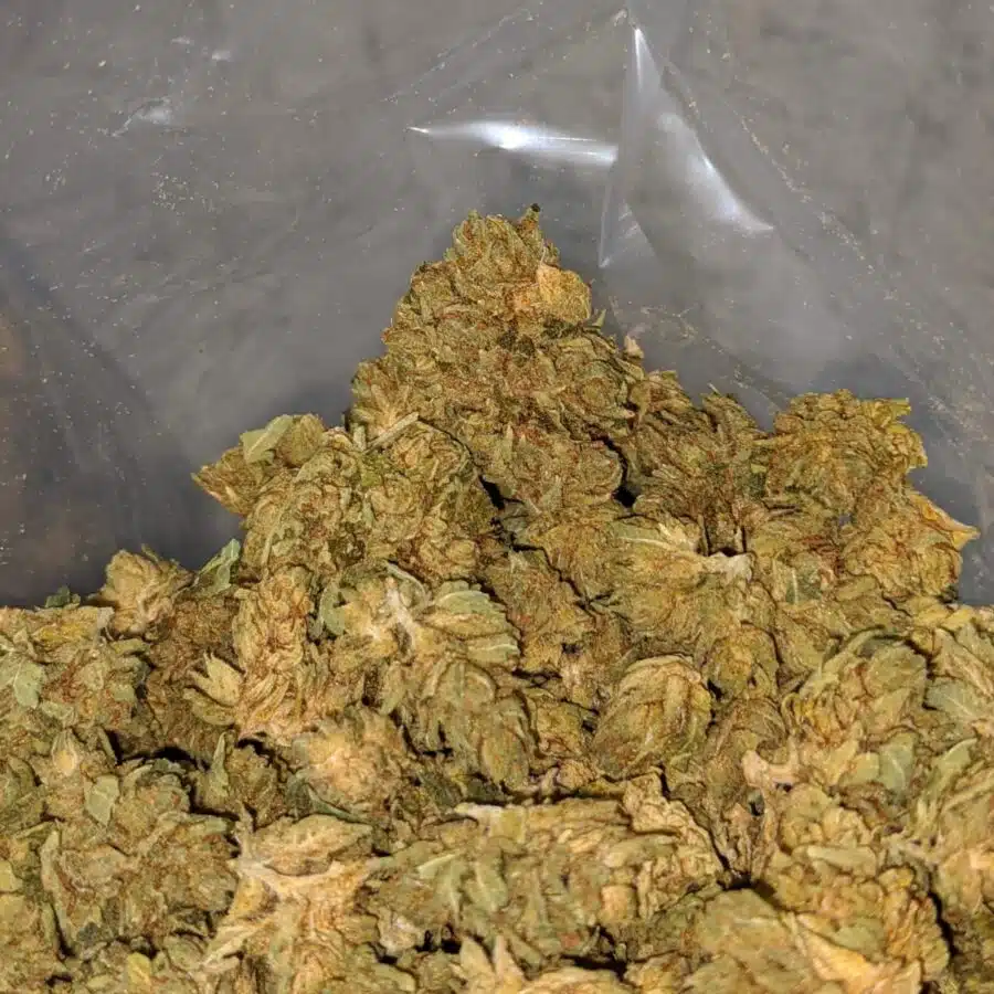 cheap chemo bulk special 3 I $ 33 Oz - Chemo