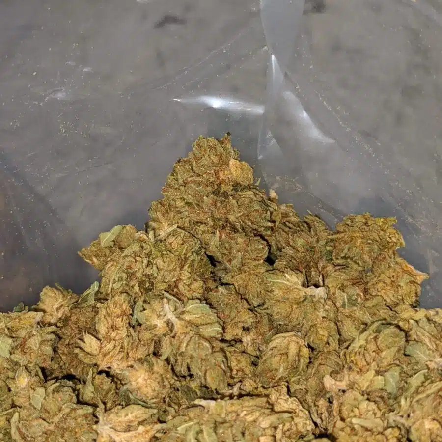 cheap chemo bulk special 4 I $ 33 Oz - Chemo