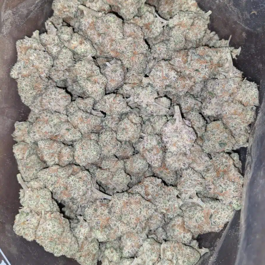 funky charms 1 I $ 60 Oz - Funky Charms