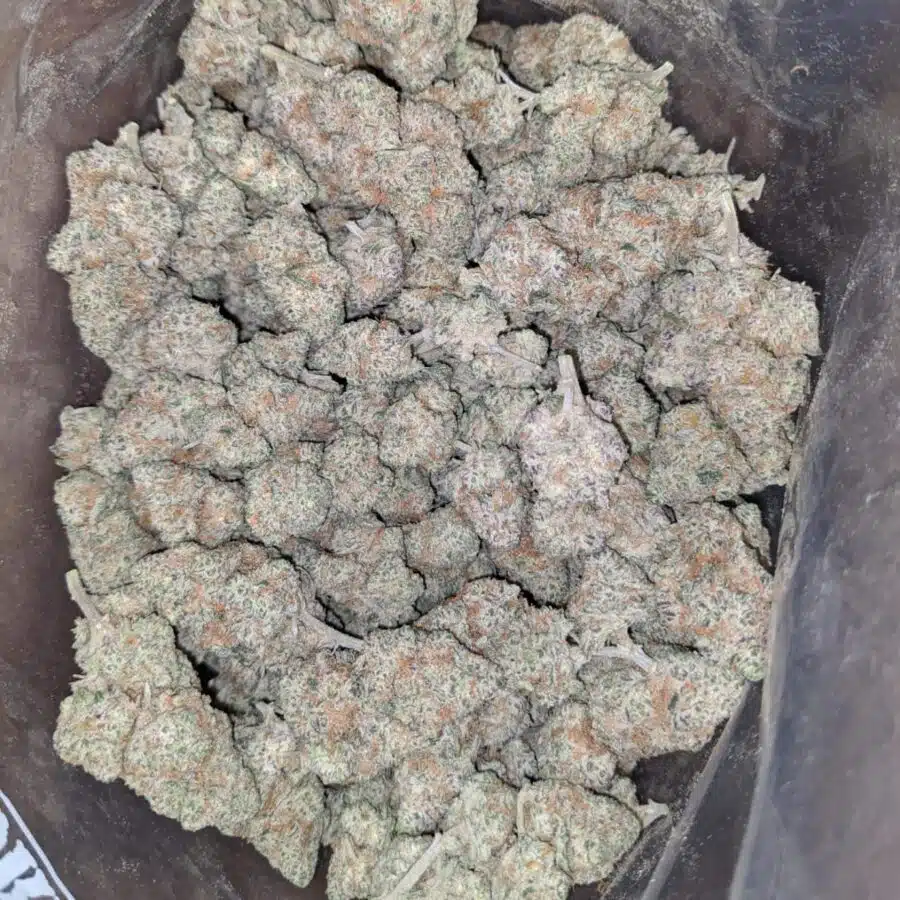 funky charms 2 I $ 60 Oz - Funky Charms