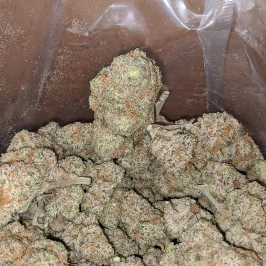 funky charms 3 I $ 60 Oz - Funky Charms