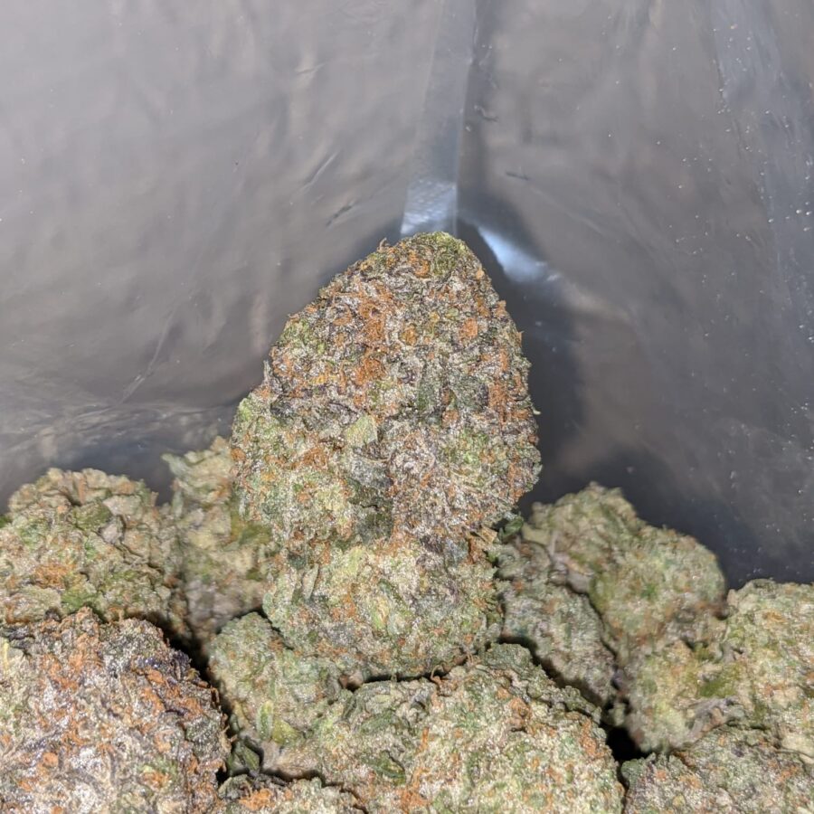 Gelato And Cream - Image 7