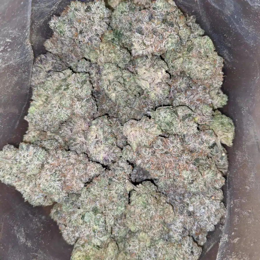 holy grail 1 1 I Holy Grail