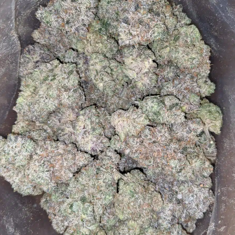 holy grail 2 1 I Holy Grail