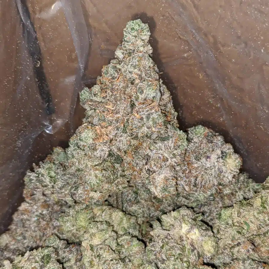 holy grail 3 1 I Holy Grail
