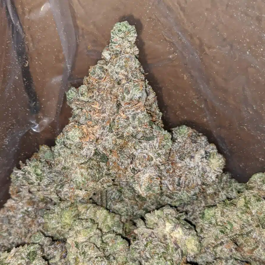 holy grail 4 1 I Holy Grail