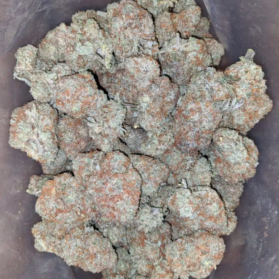 italian ice 1 I $ 60 Oz - Italian Ice