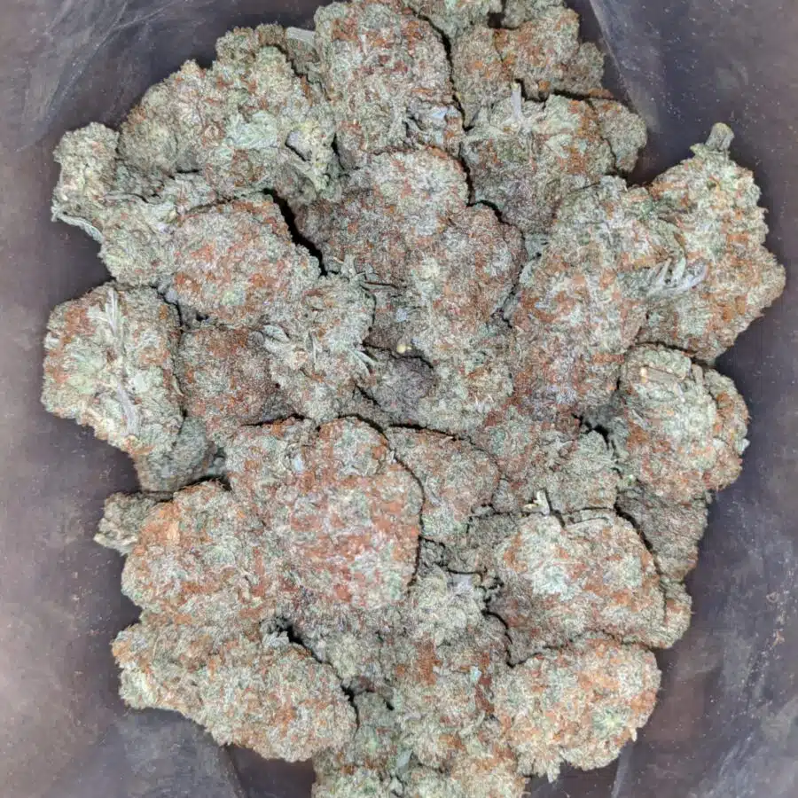 italian ice 2 I $ 60 Oz - Italian Ice