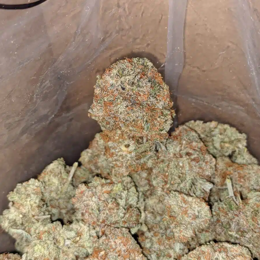 italian ice 3 I $ 60 Oz - Italian Ice