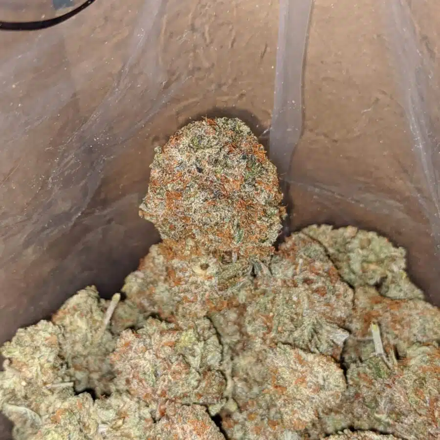 italian ice 4 I $ 60 Oz - Italian Ice