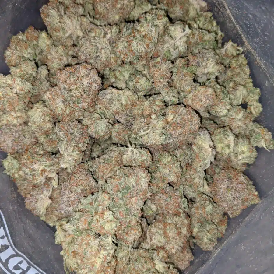 mendo cookies 1 I Mendo Cookies