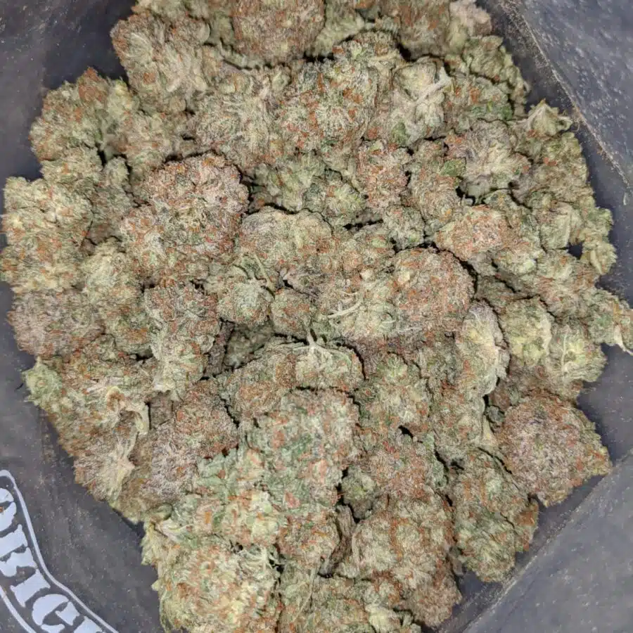 mendo cookies 2 I Mendo Cookies