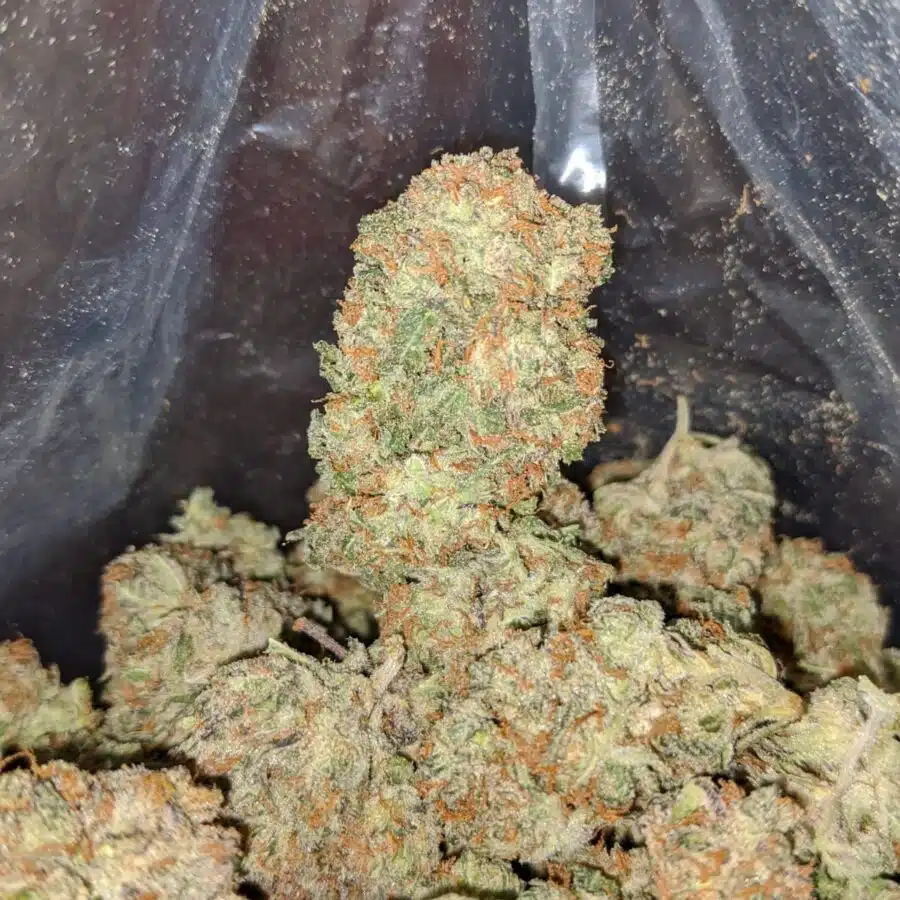mendo cookies 3 I Mendo Cookies