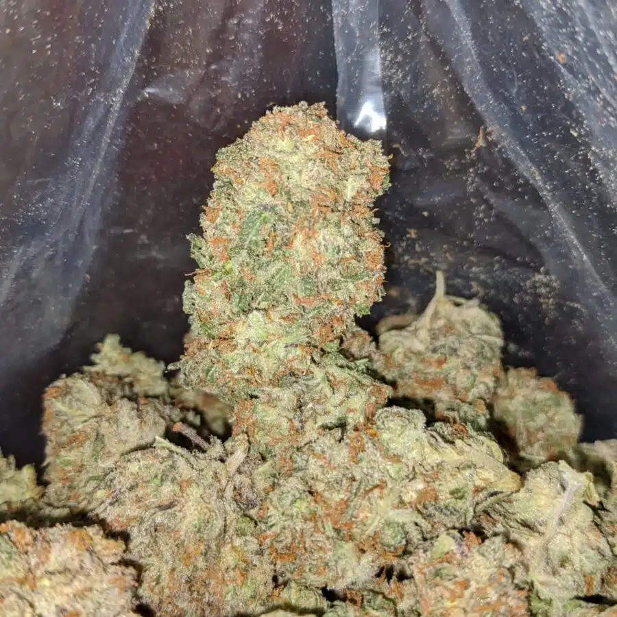 mendo cookies 4 I Mendo Cookies