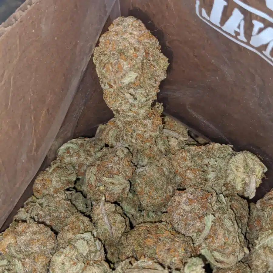 nuken 2 3 I $ 59 Oz - Nuken