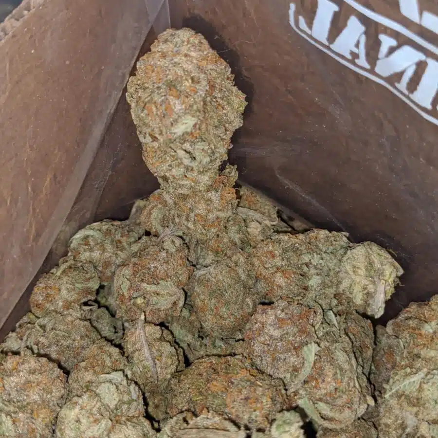 nuken 2 4 I $ 59 Oz - Nuken