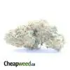 Brainstorm Haze