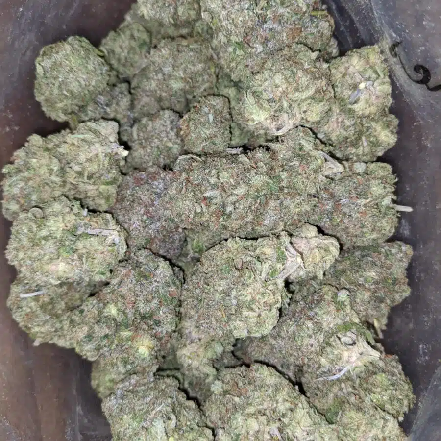 Bruce Banner 1 I Bruce Banner AAA