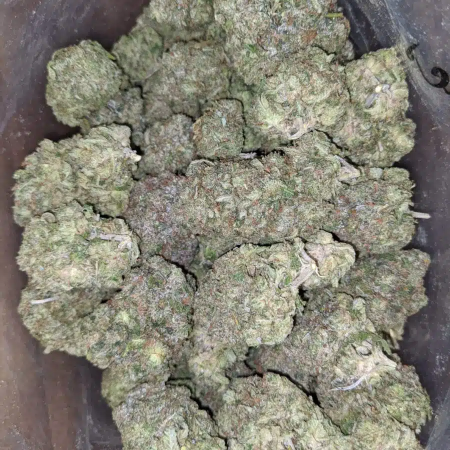 Bruce Banner 2 I Bruce Banner AAA