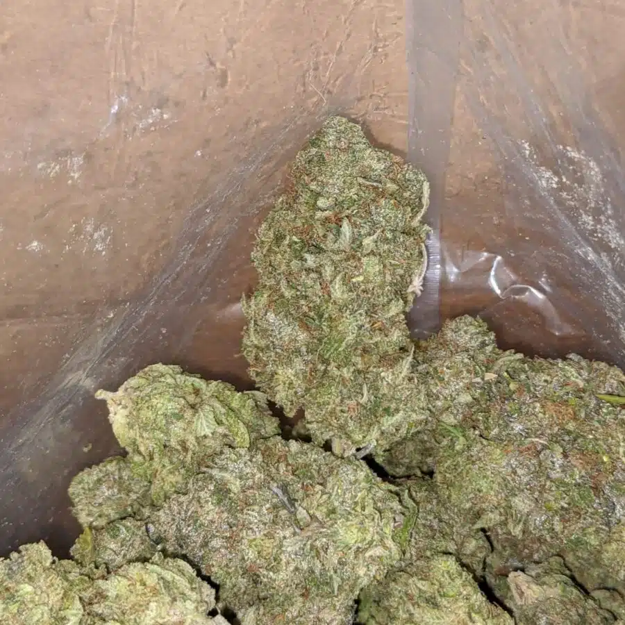 Bruce Banner 3 I Bruce Banner AAA