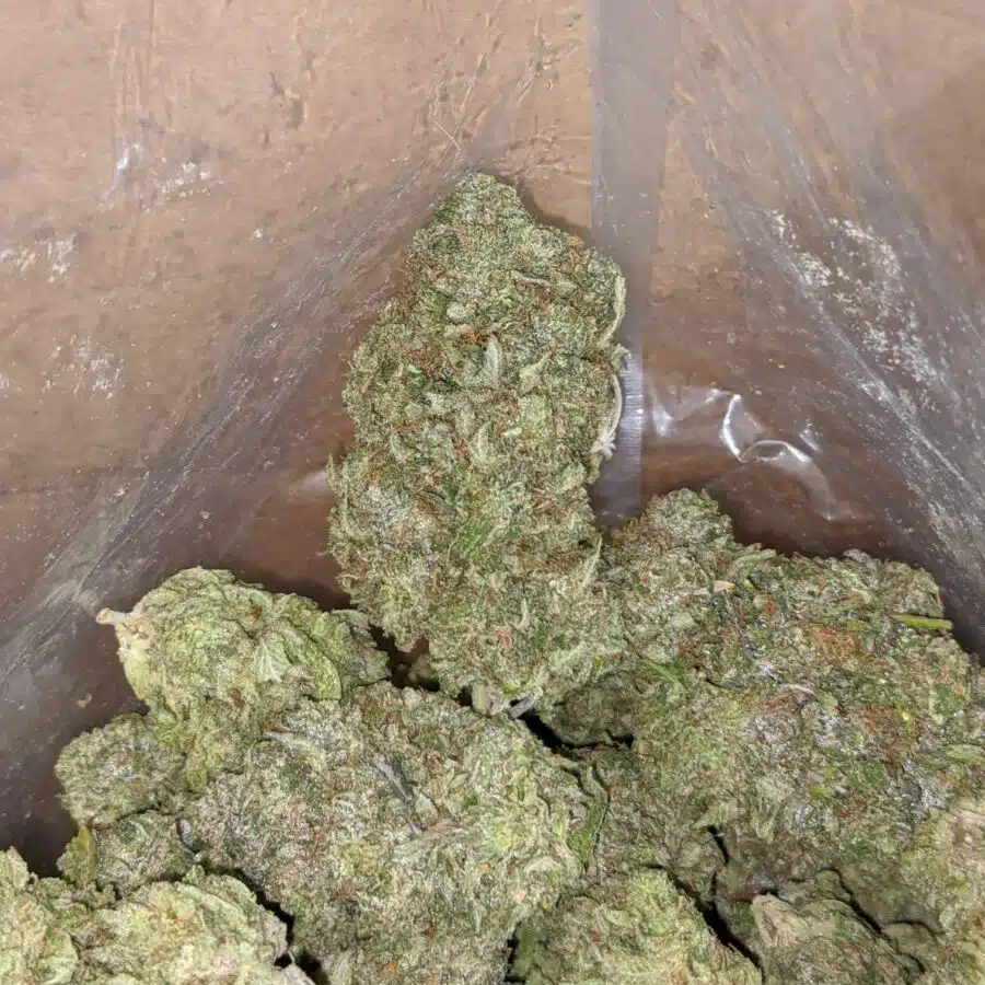 Bruce Banner 4 I Bruce Banner AAA
