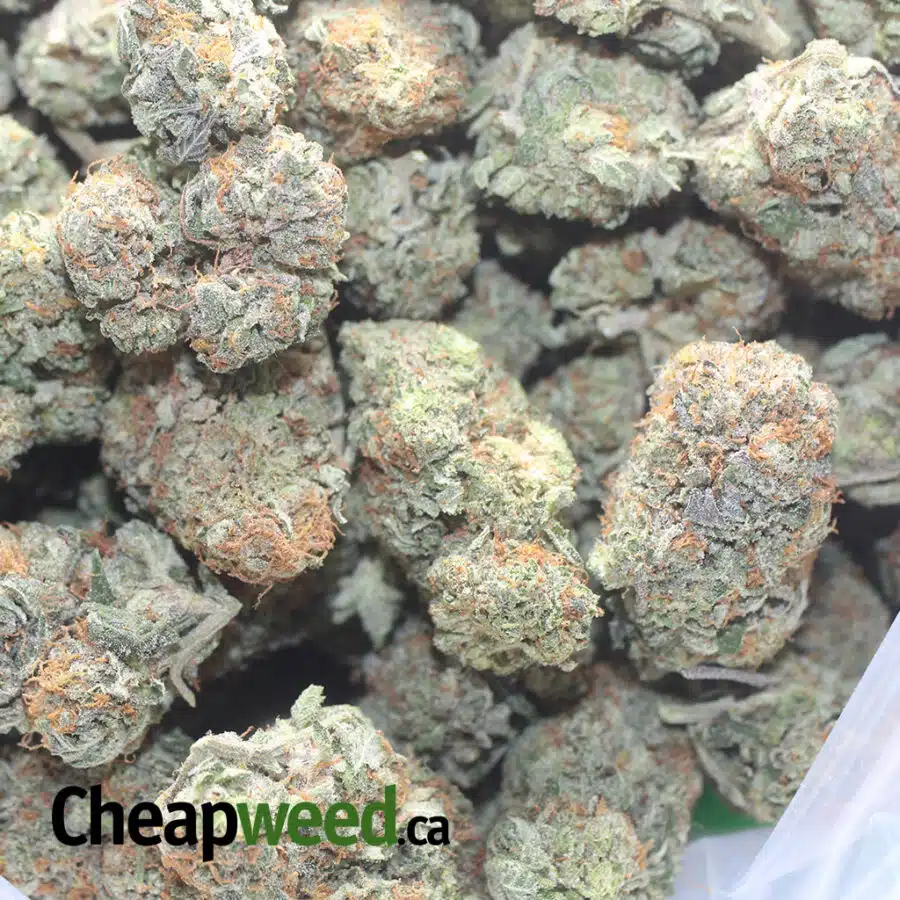 CARAMEL COOKIES 1 I $ 60 Oz - Caramel Cookies