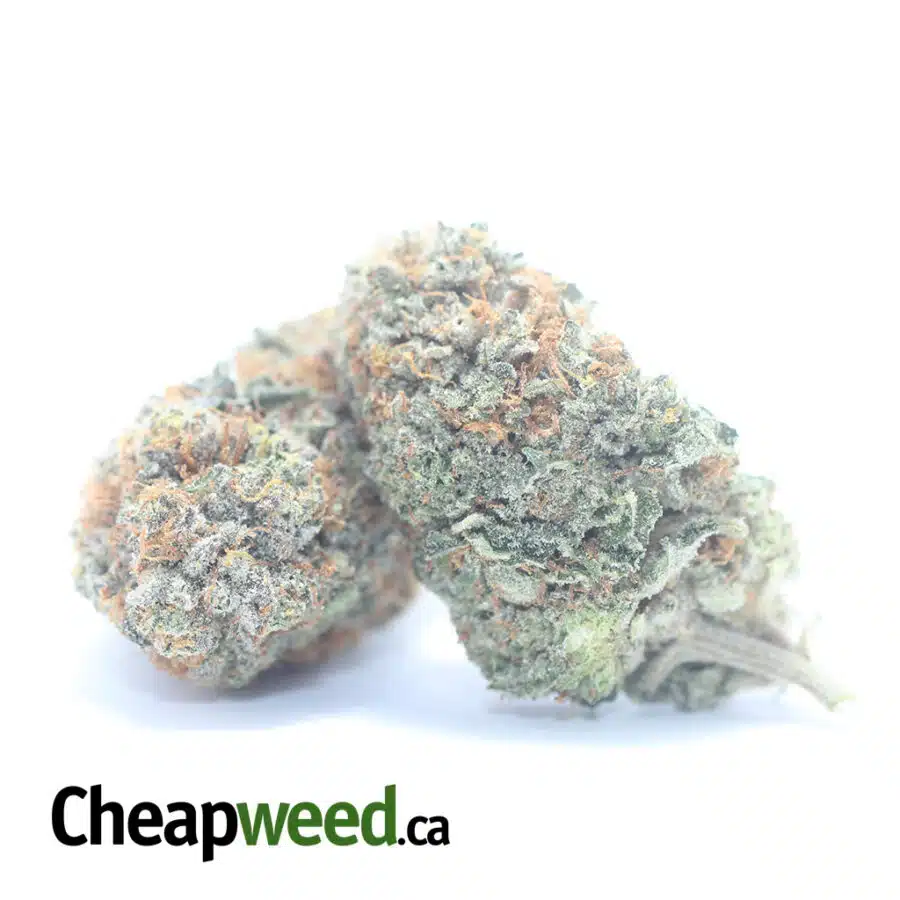 Alternative view of $ 60 Oz - Caramel Cookies