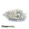 $ 56 Oz - Cherry Bomb
